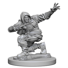 Pathfinder Deep Cuts Unpainted Miniatures Human Male Rogue-1