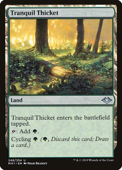 Tranquil Thicket [Modern Horizons]-1