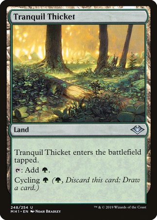 Tranquil Thicket [Modern Horizons]-1