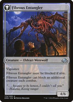 Tangleclaw Werewolf // Fibrous Entangler [Eldritch Moon]-2