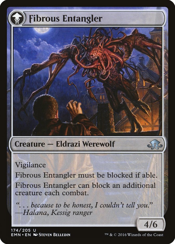 Tangleclaw Werewolf // Fibrous Entangler [Eldritch Moon]-2