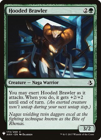 Hooded Brawler [Mystery Booster]-1