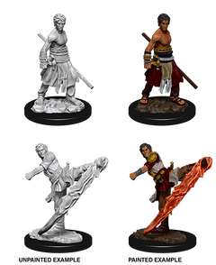 D&D Nolzurs Marvelous Unpainted Miniatures Male Half-Elf Monk-1