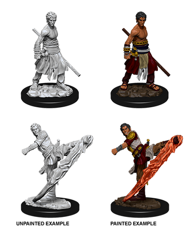 D&D Nolzurs Marvelous Unpainted Miniatures Male Half-Elf Monk