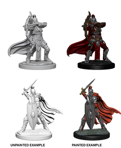 Pathfinder Battles Deep Cuts Female Knights / Gray Maidens-1
