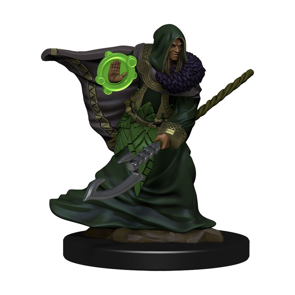 D&D Premium Painted Figures Elf Druid Male-1