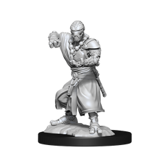 D&D Nolzurs Marvelous Unpainted Miniatures Warforged Monk-1