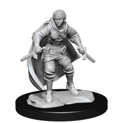 D&D Nolzurs Marvelous Unpainted Miniatures Half-Elf Rogue Female-1
