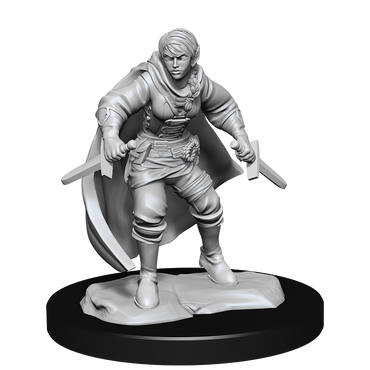 D&D Nolzurs Marvelous Unpainted Miniatures Half-Elf Rogue Female