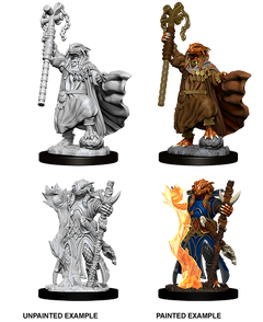 D&D Nolzurs Marvelous Unpainted Miniatures Female Dragonborn Sorcerer-1