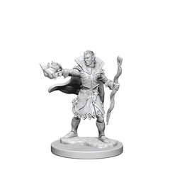 Pathfinder Deep Cuts Unpainted Miniatures Elf Male Sorcerer-1