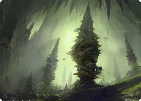 Forest (280) Art Card [Dungeons & Dragons: Adventures in the Forgotten Realms Art Series]-1