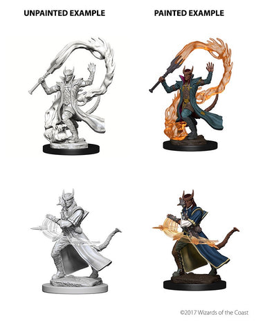 D&D Nolzurs Marvelous Unpainted Miniatures Tiefling Male Sorcerer