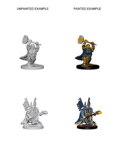 D&D Nolzurs Marvelous Unpainted Miniatures Dwarf Male Paladin-1