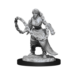 D&D Nolzurs Marvelous Unpainted Miniatures Human Monk Female-1