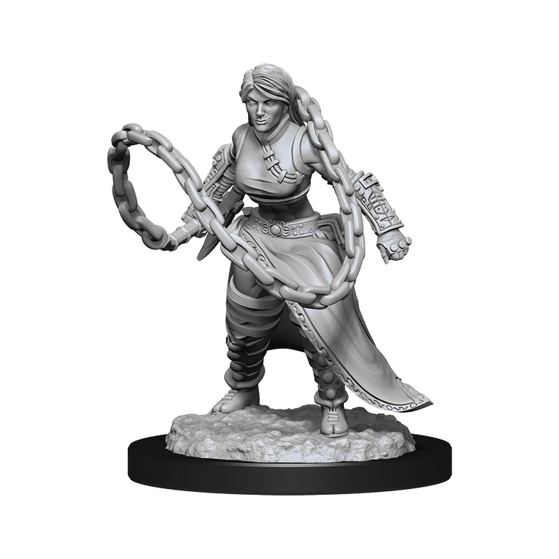 D&D Nolzurs Marvelous Unpainted Miniatures Human Monk Female-1