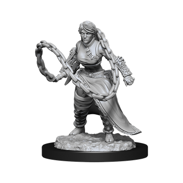 D&D Nolzurs Marvelous Unpainted Miniatures Human Monk Female