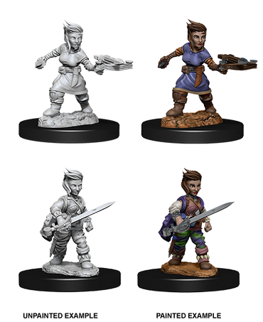 Pathfinder Deep Cuts Female Halfling Rogue