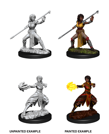 D&D Nolzurs Marvelous Unpainted Miniatures Female Half-Elf Monk-1