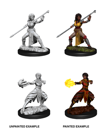 D&D Nolzurs Marvelous Unpainted Miniatures Female Half-Elf Monk