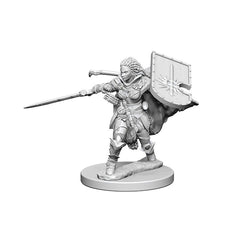 Pathfinder Deep Cuts Unpainted Miniatures Human Female Paladin-1