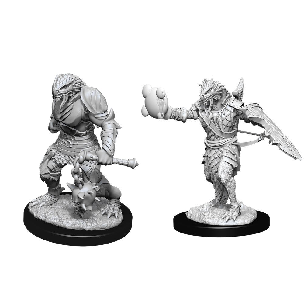 D&D Nolzurs Marvelous Unpainted Miniatures Male Dragonborn Paladin W11-1