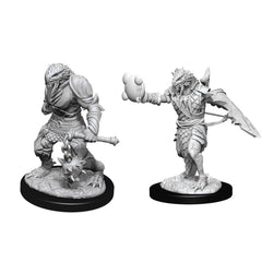 D&D Nolzurs Marvelous Unpainted Miniatures Male Dragonborn Paladin W11-1