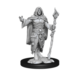 D&D Nolzurs Marvelous Unpainted Miniatures Human Druid Male-1