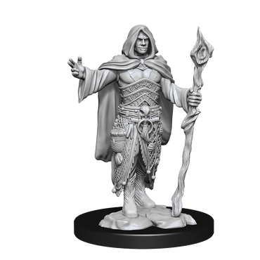 D&D Nolzurs Marvelous Unpainted Miniatures Human Druid Male