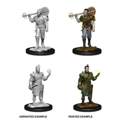 D&D Nolzurs Marvelous Unpainted Miniatures Male Half-Elf Bard-1