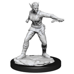 D&D Nolzurs Marvelous Unpainted Miniatures Shifter Female Rogue-1