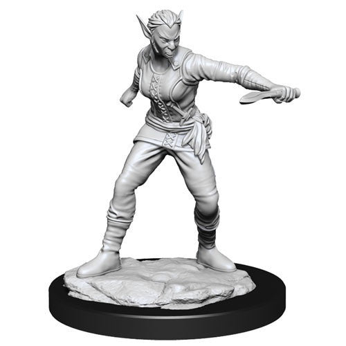 D&D Nolzurs Marvelous Unpainted Miniatures Shifter Female Rogue-1