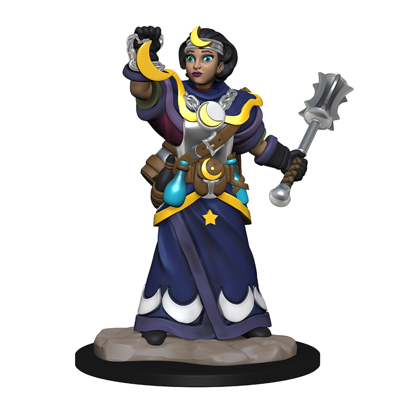 WizKids Wardlings RPG Figures Girl Cleric & Winged Cat-1