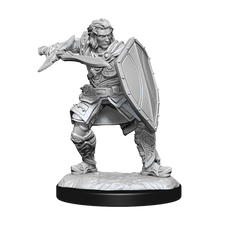 D&D Nolzurs Marvelous Unpainted Miniatures Human Paladin Male-1