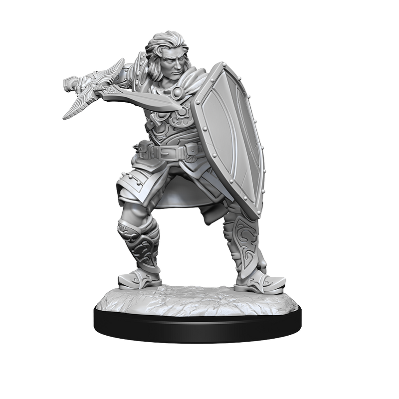 D&D Nolzurs Marvelous Unpainted Miniatures Human Paladin Male-1