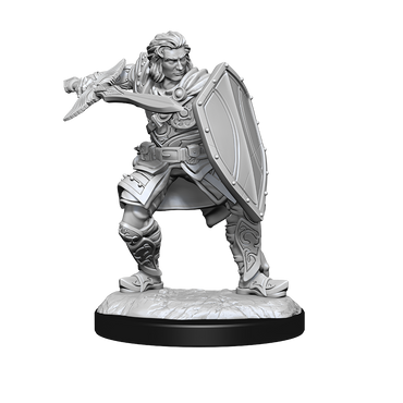 D&D Nolzurs Marvelous Unpainted Miniatures Human Paladin Male