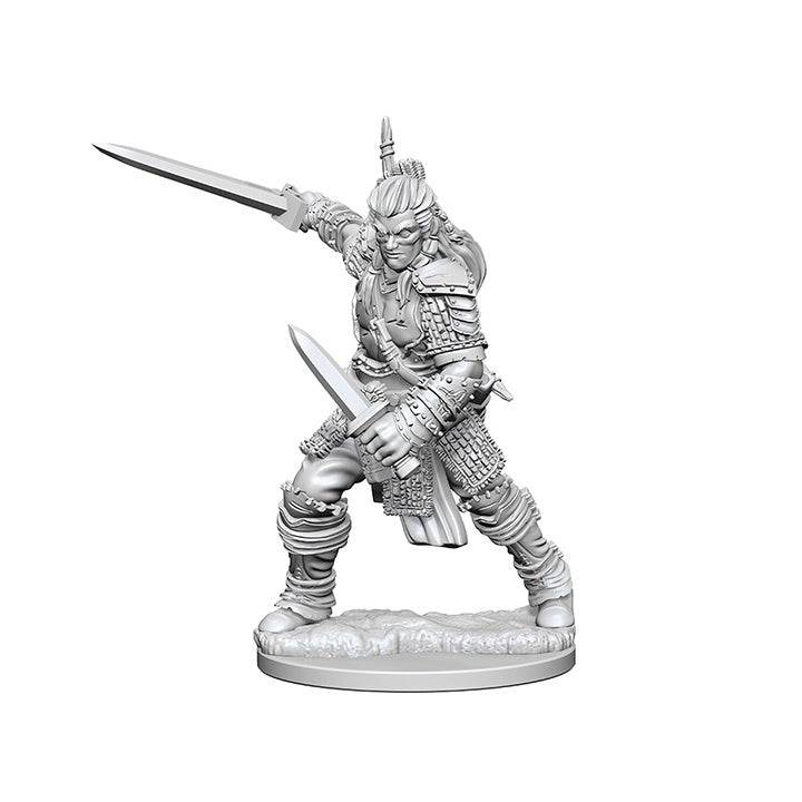 Pathfinder Deep Cuts Unpainted Miniatures Human Male Fighter-1