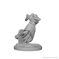 D&D Nolzurs Marvelous Unpainted Miniatures Ghosts-1