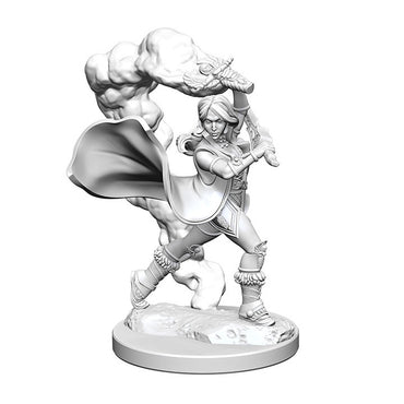 Pathfinder Deep Cuts Unpainted Miniatures Human Female Cleric