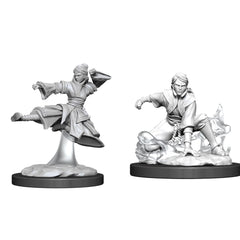D&D Nolzurs Marvelous Unpainted Miniatures Female Human Monk-1