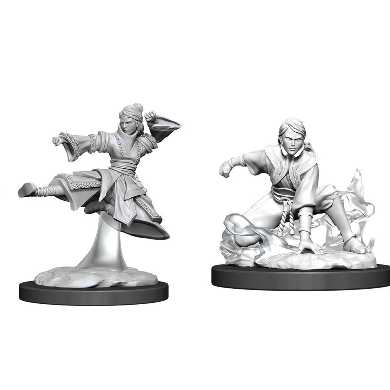 D&D Nolzurs Marvelous Unpainted Miniatures Female Human Monk-1