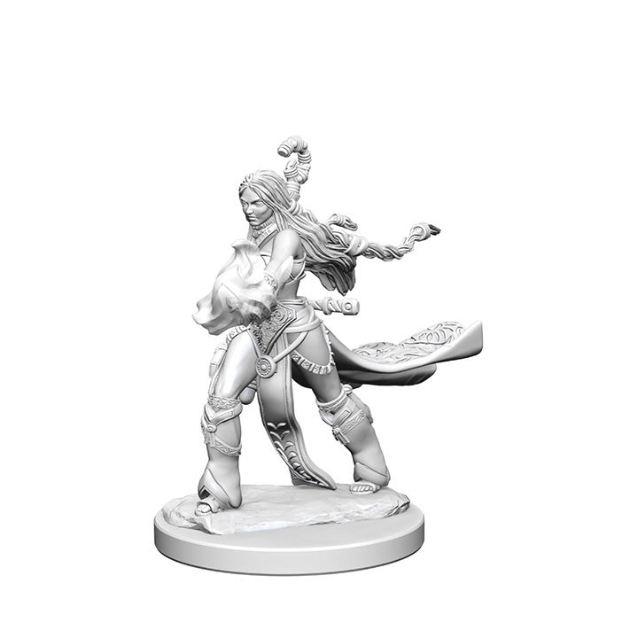 Pathfinder Deep Cuts Unpainted Miniatures Human Female Sorcerer-1