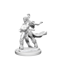 Pathfinder Deep Cuts Unpainted Miniatures Human Female Sorcerer-1