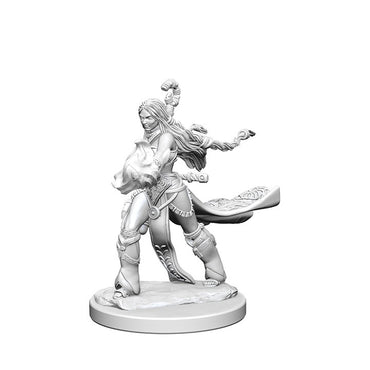 Pathfinder Deep Cuts Unpainted Miniatures Human Female Sorcerer