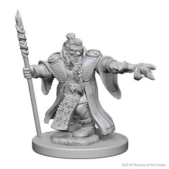 D&D Nolzurs Marvelous Unpainted Miniatures Dwarf Male Wizard-1