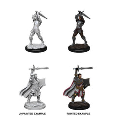 D&D Nolzurs Marvelous Unpainted Miniatures Male Human Paladin-1