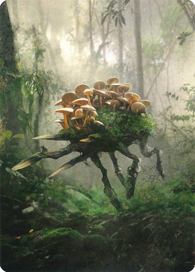 Saproling // Saproling Double-Sided Token [Unstable Tokens]-2
