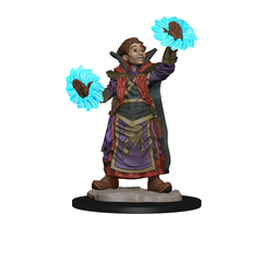 WizKids Wardlings RPG Figures Boy Wizard & Imp-1