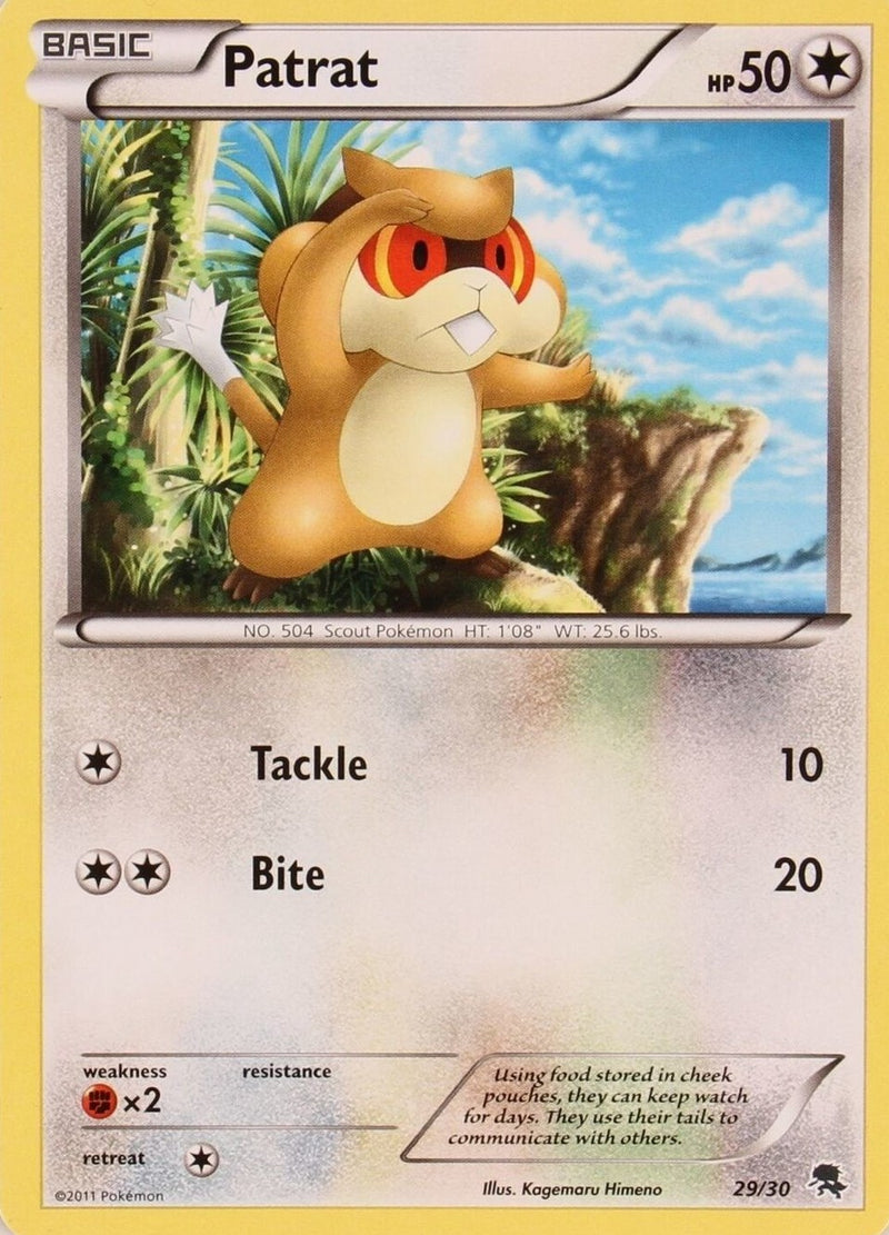 Patrat (29/30) [Black & White: Trainer Kit - Zoroark]-1
