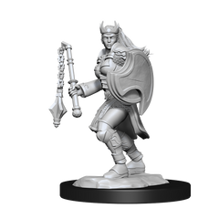 D&D Nolzurs Marvelous Unpainted Miniatures Kalashtar Cleric Female-1